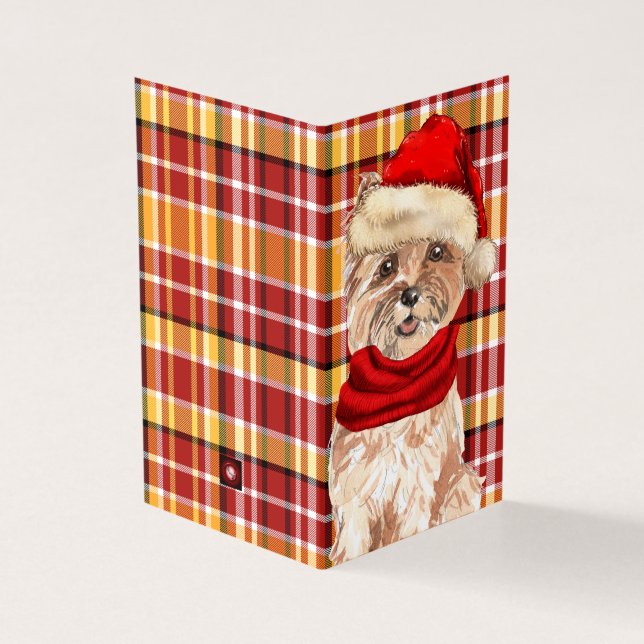 Cairn Terrier Dog with Holiday Red Plaid Christmas (Outside)