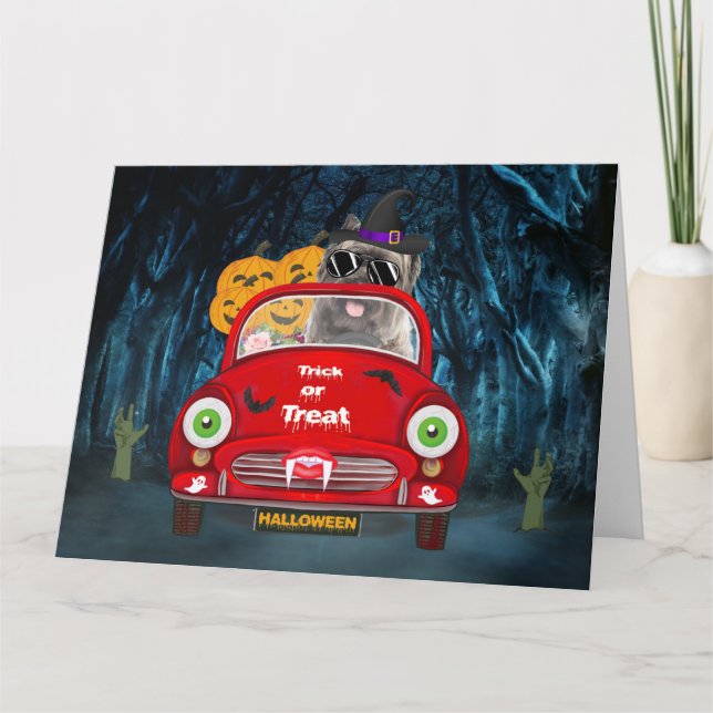Cairn Terrier Driving Car Scary Halloween Card (Front)