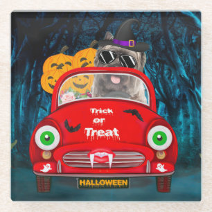 Cairn Terrier Driving Car Scary Halloween  Glass Coaster