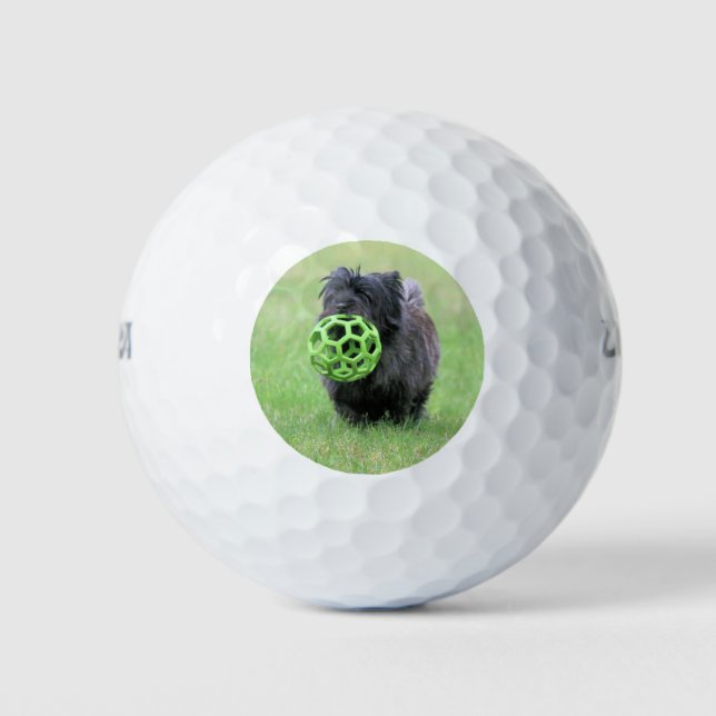 Cairn terrier golf balls (Front)