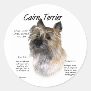 Cairn Terrier History Design Classic Round Sticker