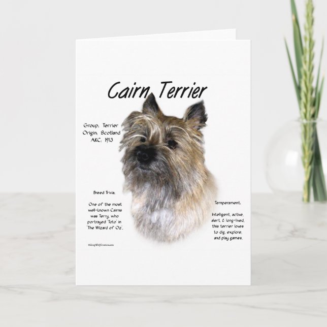 Cairn Terrier History Design Holiday Card (Front)