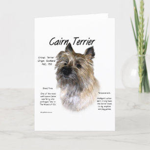 Cairn Terrier History Design Holiday Card