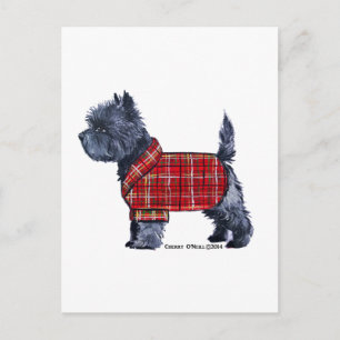 Cairn Terrier Holiday Postcard