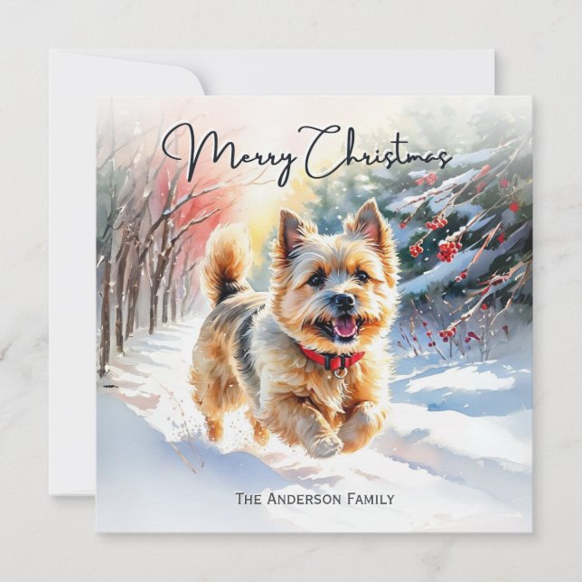 Cairn Terrier In Snow Winter Merry Christmas Holiday Card (Front)