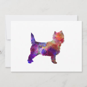 Cairn Terrier in watercolor