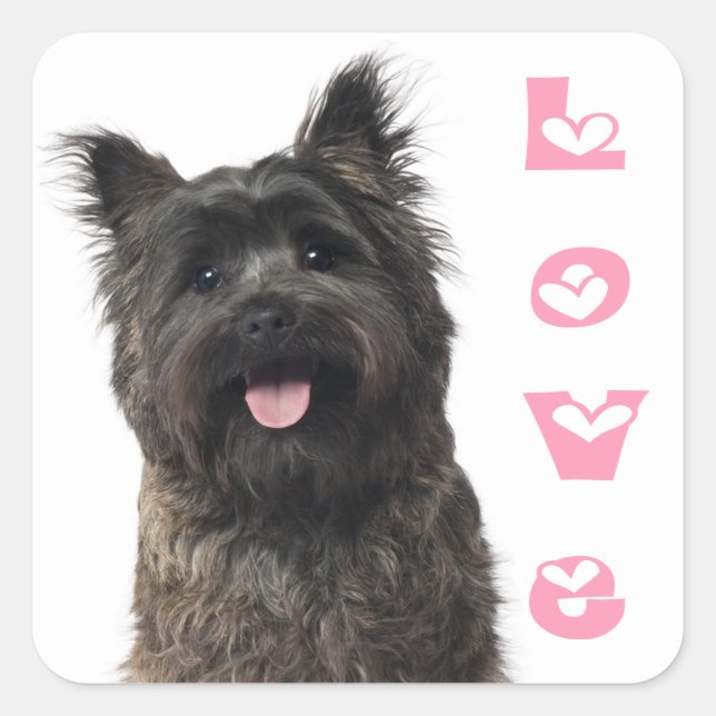 Cairn Terrier Love Puppy Dog Mum Fur Mama Canine Square Sticker (Front)