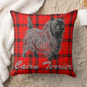 Cairn Terrier on Plaid Cushion