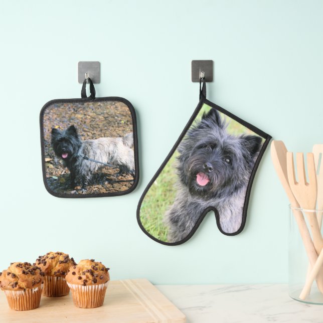 Cairn Terrier Oven Mitt & Pot Holder Set (Insitu(Hanging))