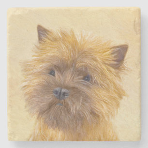 Cairn Terrier Painting - Cute Original Dog Art Stone Coaster