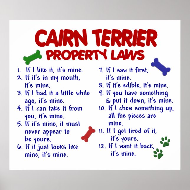 CAIRN TERRIER PL2 POSTER (Front)