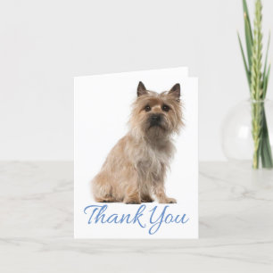 Cairn Terrier Puppy Dog Thank You Blank Note Card