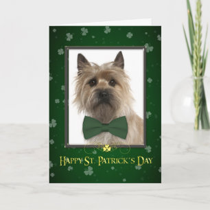 Cairn Terrier St. Patrick's Day Card