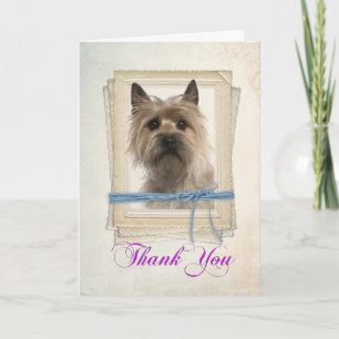 Cairn Terrier Thank You Card