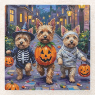 Cairn Terrier Trick-or-Treating Halloween Costumes Glass Coaster