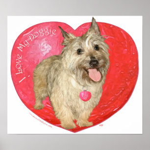 Cairn Terrier Valentine's Day Poster