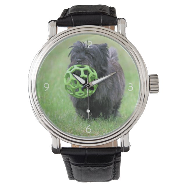 Cairn terrier watch (Front)