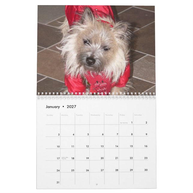 Cairn Terriers 2011 Calendar (Jan 2027)