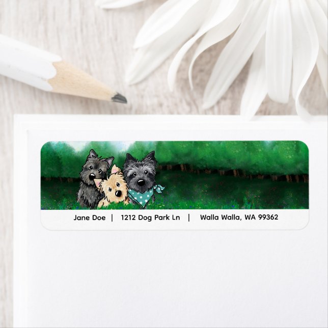 Cairn Terriers Address (Insitu)