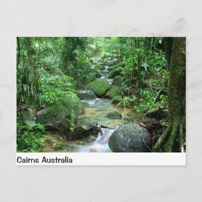 Cairns Forest Creek Queensland Australia Post Card (Front)