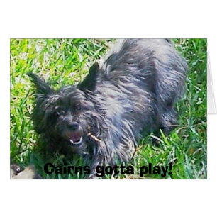 Cairns gotta play!