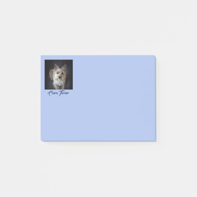Cairntensity - Post It Notes (Front)