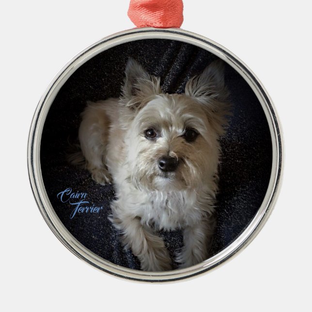 Cairntensity Premium Round Ornament (Front)