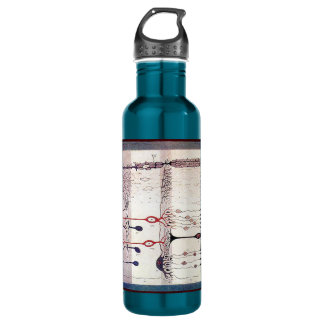Cajal 710 Ml Water Bottle