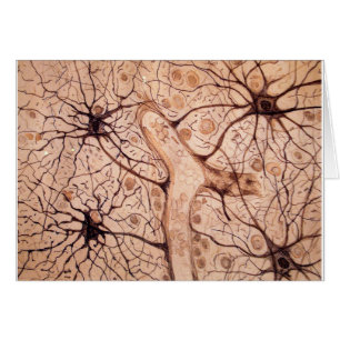 Cajal's Neurons 3