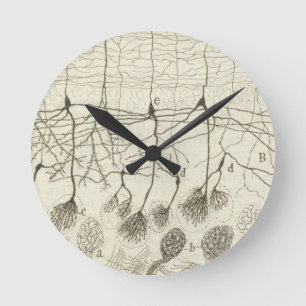 Cajal's Neurons 8 Round Clock