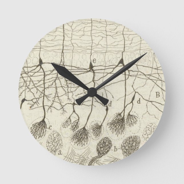 Cajal's Neurons 8 Round Clock (Front)