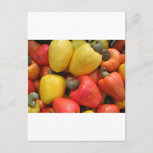 Caju, mãe natureza postcard (Front)