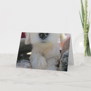 Cake I Smell Fun Custom Cute Goldendoodle pup Card