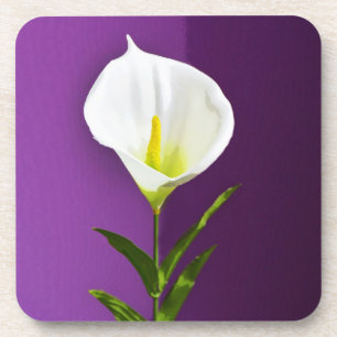 Cala Lily Flower Coaster