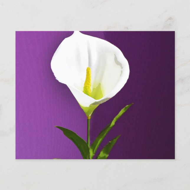 Cala Lily Flower Flyer (Front)