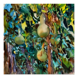 Calabash Tree Gourds In Autumn Acrylic Art Poster