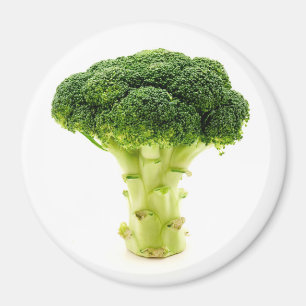 Calabrese broccoli magnet