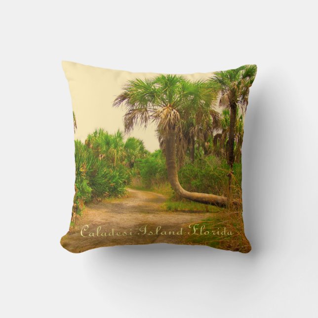 Caladesi Island Dunedin Fl Pillow (Front)