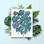 Caladiums Pink & Green Leaves Watercolor Art Postcard<br><div class="desc">Are you a fan of caladiums? Send these colourful watercolor leaves to your friends and family. Add your own text!
Thanks for shopping my art! Check out my other postcards and items and be sure to tag me on instagram @shoshannahscribbles</div>
