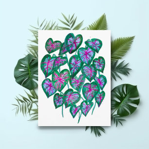 Caladiums Pink & Green Leaves Watercolor Art Postcard
