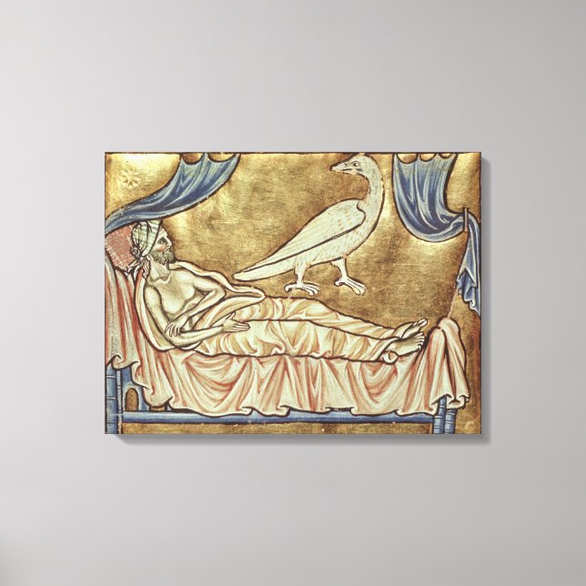 Caladrius bird, reputed to foretell canvas print (Front)