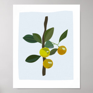 Calamonsi Golden Lime Citrus Illustration Poster
