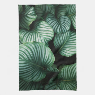Calathea leaves, striped tropical plants dish tea towel