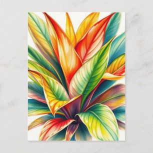 Calathea Prayer  Watercolor  Postcard