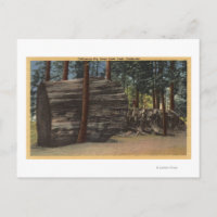 Calaveras Big Trees State Park