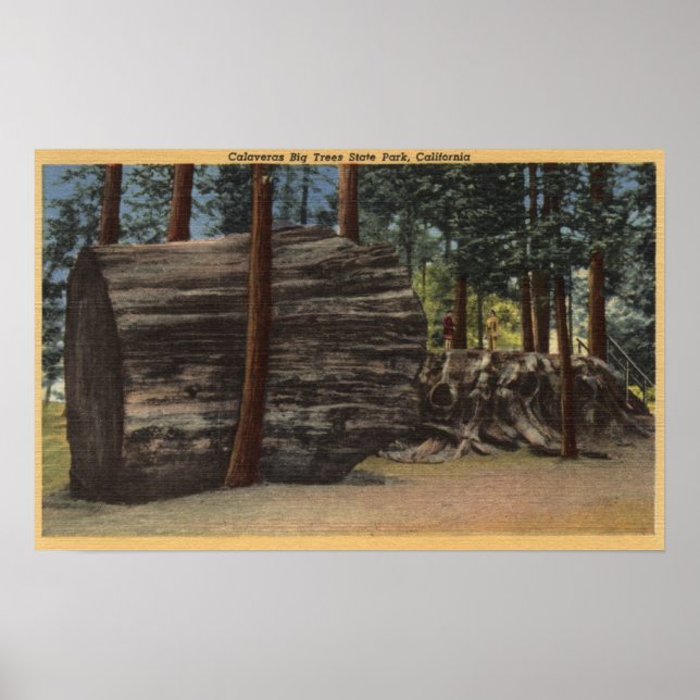 Calaveras Big Trees State Park Poster (Front)