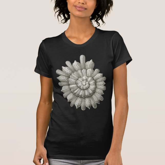 Calcarina clavigera Ernst Haeckel Fine Art T-Shirt (Front)