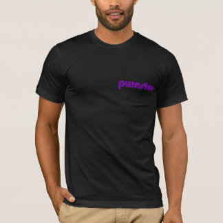 Calculator Window - YOU GOT PWNED - ©pwnstar 2023 T-Shirt