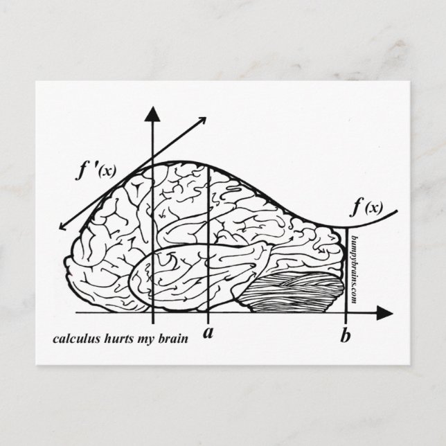 Calculus Hurts my Brain Postcard (Front)