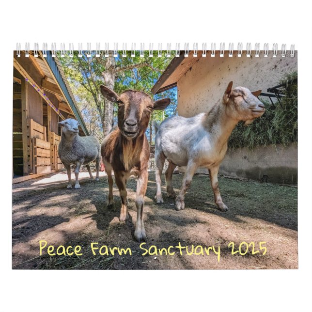Calendar (Cover)